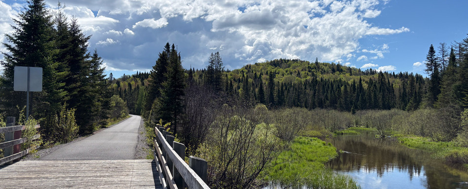 02Web Story_QC_Route Verte_Ptit-Train-du-Nord_credit Amy Schwartz_support image | Trans Canada Trail view of a forest from a trail on a sunny day