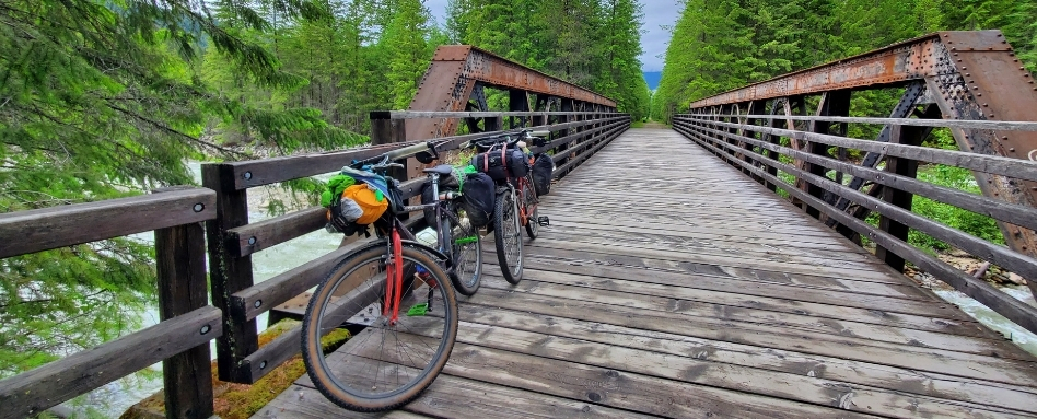bikes lining a wooden bridge with forest behind