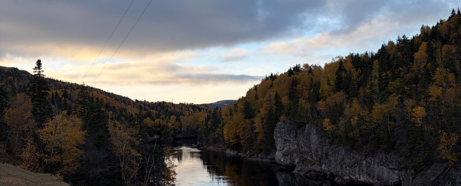 lakeview and forest at sunrise