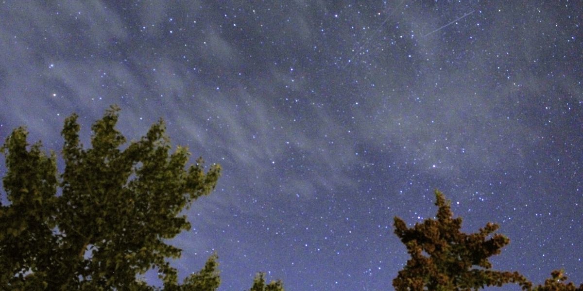 00Feature image_Web story_AB_Look Up winter skies_Sylvia Dekker | Trans Canada Trail starry night from below with clouds and pine trees shadowing