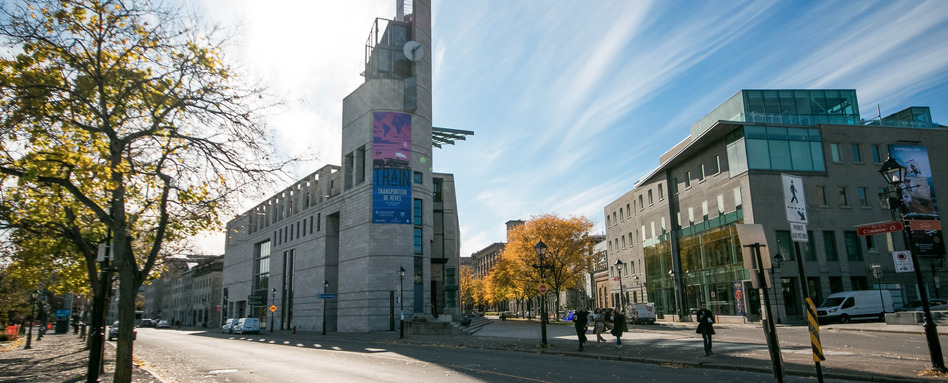 buildings on a street with fall foliage on sunny day