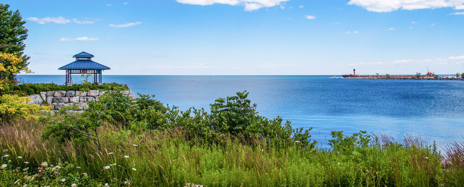 grassy area overlooking lake on a sunny day