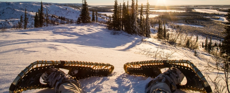 03Support images_NWT winter activities_Credit Weronika Murrary and NWTT_dont use outside of NWT promotion | Trans Canada Trail snowy hill with trees