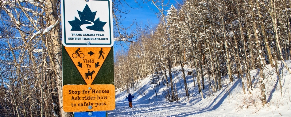 01Support image_Emilie Brillon_AB_West Bragg Creek | Trans Canada Trail person skiing on snow covered trail on a sunny day