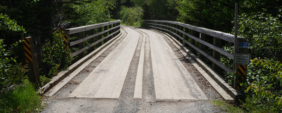 paved road on a bridge leading into forest