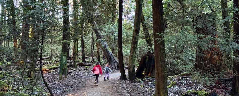 Two kids running along a trail in a forest.