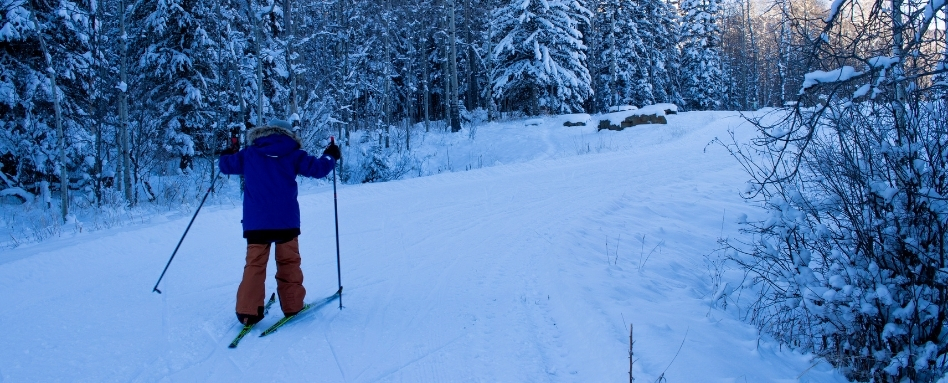 03Support image_Emilie Brillon_AB_West Bragg Creek | Trans Canada Trail person cross country skiing on snowy trail