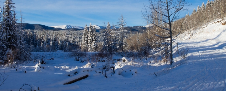 05Support image_Emilie Brillon_AB_West Bragg Creek | Trans Canada Trail snow covered mountains and forrest