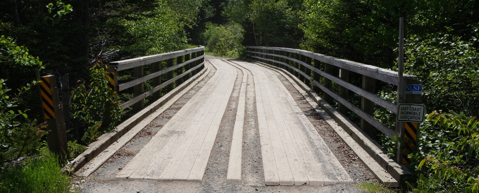 paved road on a bridge leading to forest