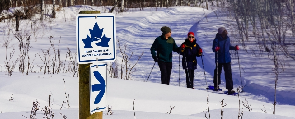 01SK_Pemiska_Support image_xcountry TCT sign_Credit Pemiska Tourism | Trans Canada Trail Three people cross-country skiing on a trail, next to a Trans Canada Trail sign