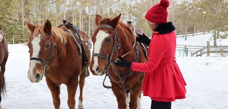 03Support image_ON_Caledon Trailway_credit Travels with Asavari | Trans Canada Trail woman petting horses on a snowy day