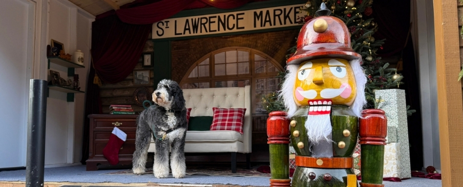 04_Support image_ON_Winter on Martin Goodman_credit Christopher Rudder_St Lawrence Market | Trans Canada Trail
