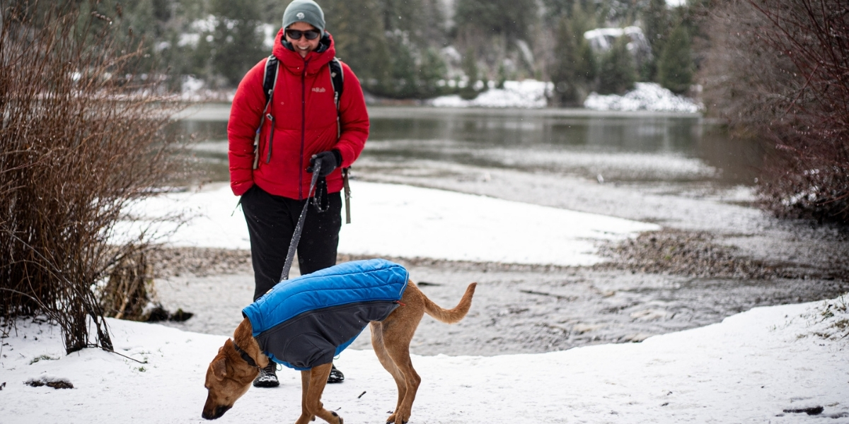 00Feature image_BC_Sea to Sky_credit Rain Scott | Trans Canada Trail person and dog walking on snowy trail