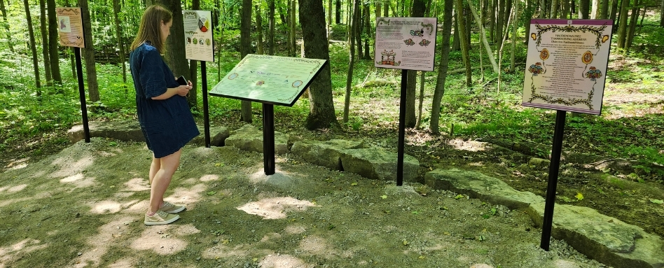 person looking at local signage on the trail