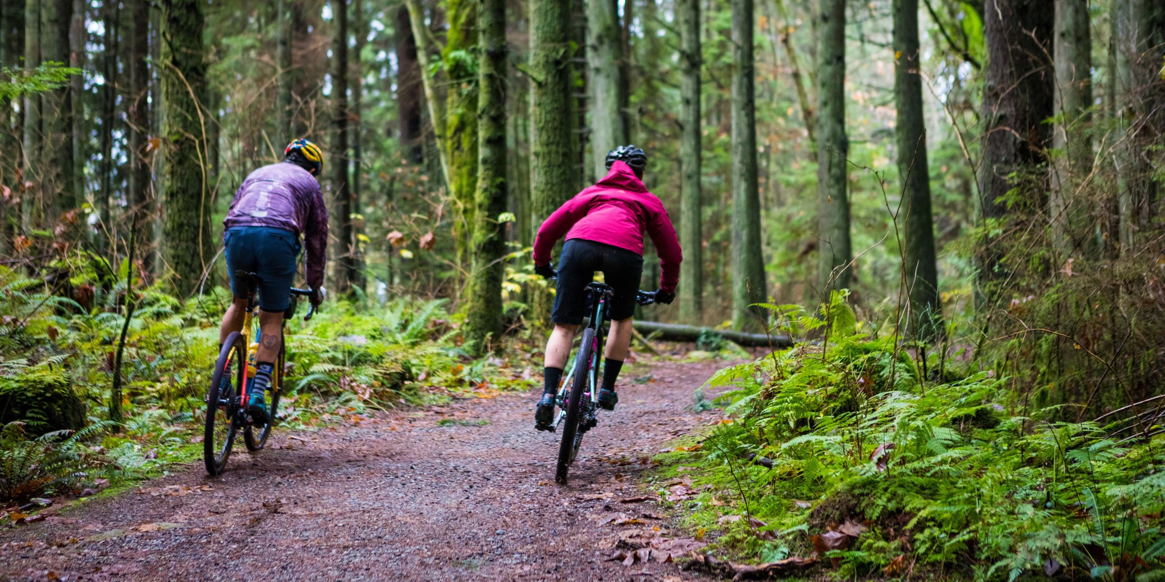 People bike on a trail through a lush forest.