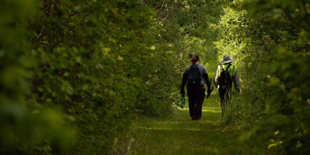 two people walk along forested trail on sunny day