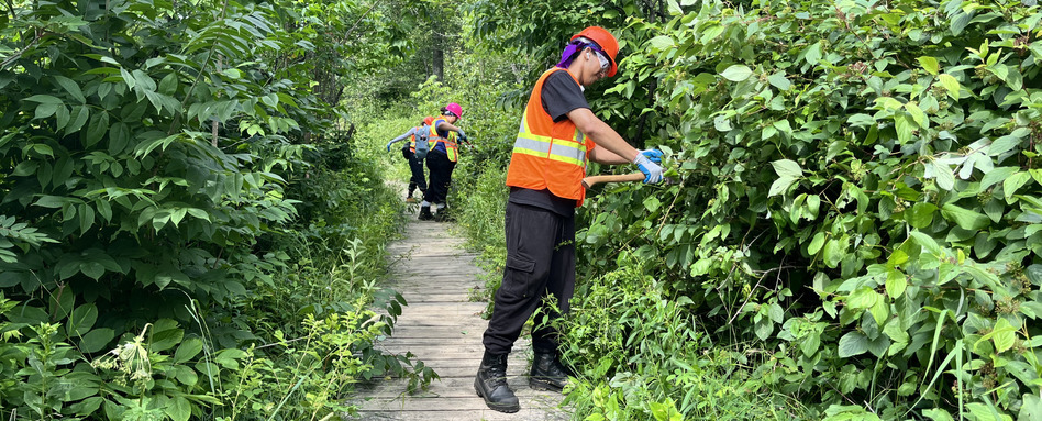 person in outdoor hazard vest trimming bushes
