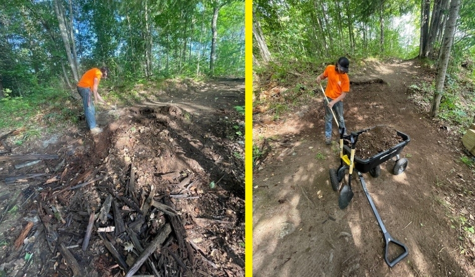 person digging in hole in the forest