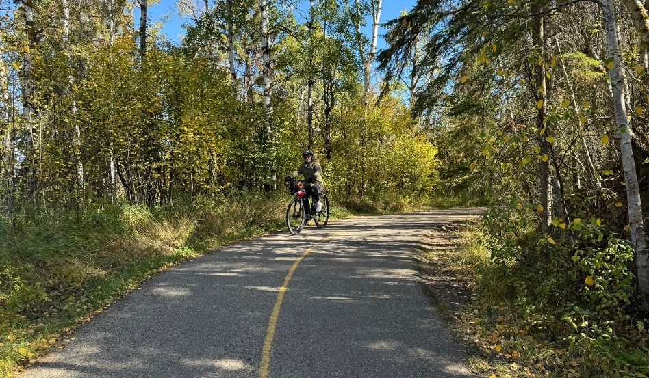 person biking on a paved trail on a sunny day in forest