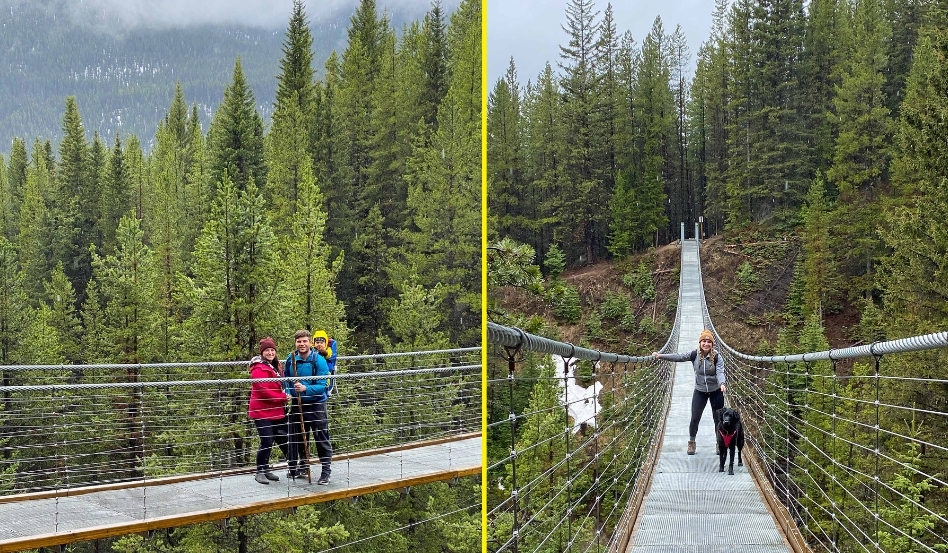 people standing on a suspended bridge over forest