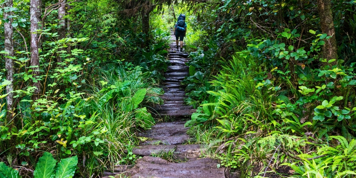 00Feature image_Taryn Eyton Leave No Trace_credit Taryne Eyton | Trans Canada Trail person walking on rocky trail on rainy day