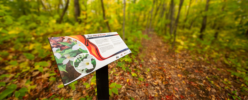 trail signage in forest