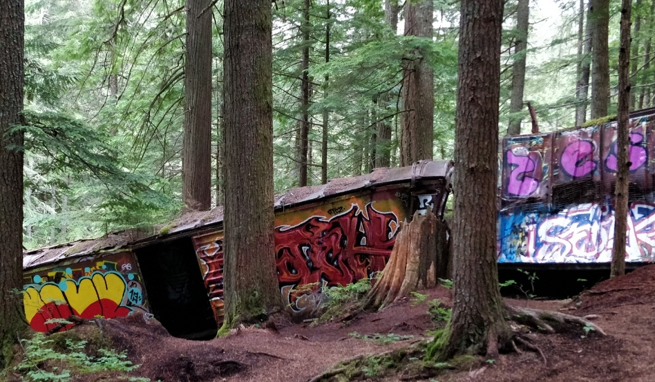 01Support image_Whistler Story-Train Wreck_credit Ruth Hartnup CC BY 20 | Trans Canada Trail abandoned, graffiti train in forest area