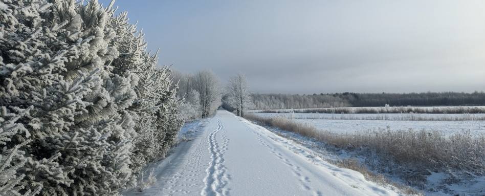 05Support image_Aidan Beckett QC_credit Aidan Beckett | Trans Canada Trail snow covered trail lakeside