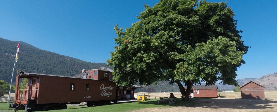 06Support image_Aidan Beckett BC_credit Aidan Beckett | Trans Canada Trail train car on pathway with large tree on a sunny day