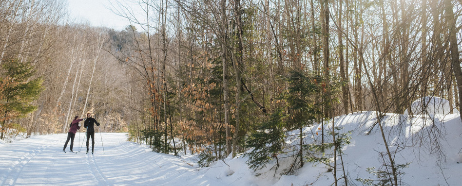Trans Canada Trail | Trans Canada Trail two people walking on a snow covered trail