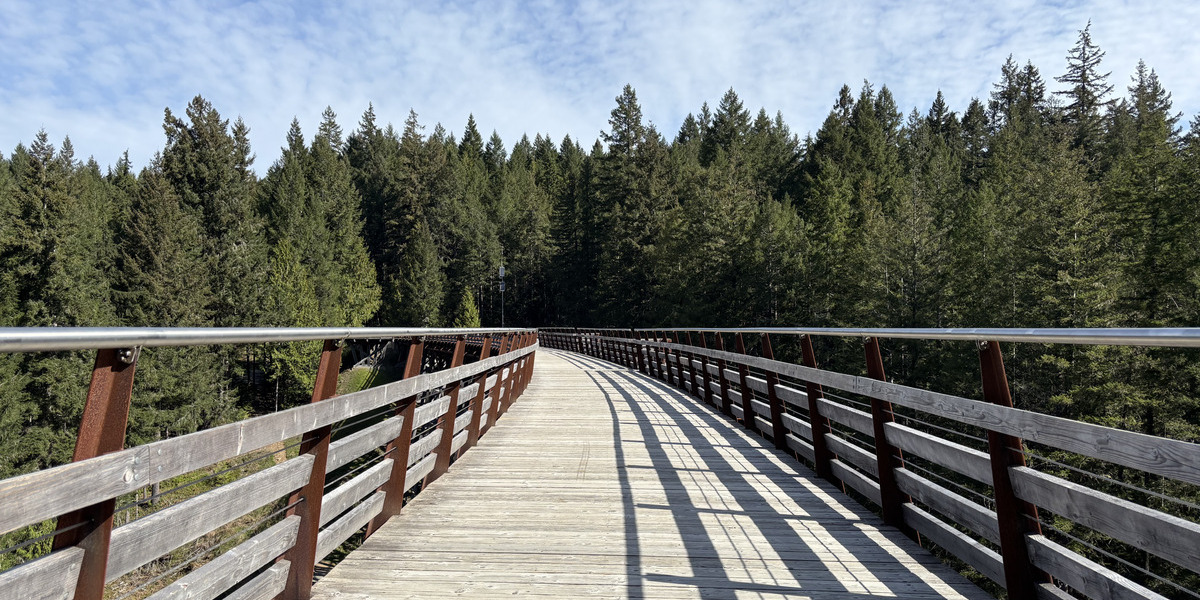 00Feature image_Kinsol Trestle story_credit Amy Schwartz | Trans Canada Trail long wooden pedestrian bridge leading into a forest