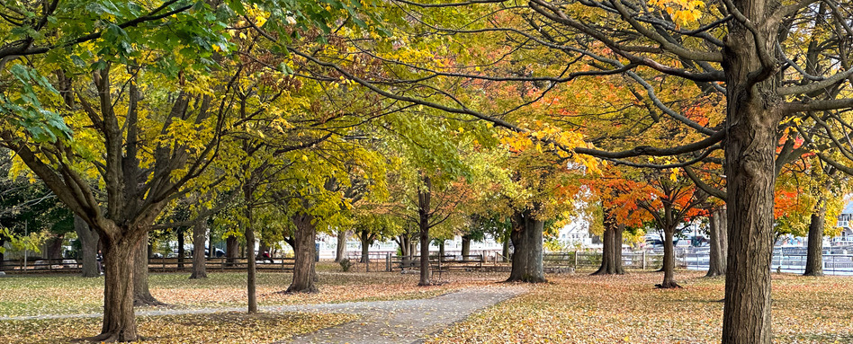 01Support image_GCH_Central Canada_credit Rudderless Travel credit required | Trans Canada Trail fall foliage on a waterfront trail