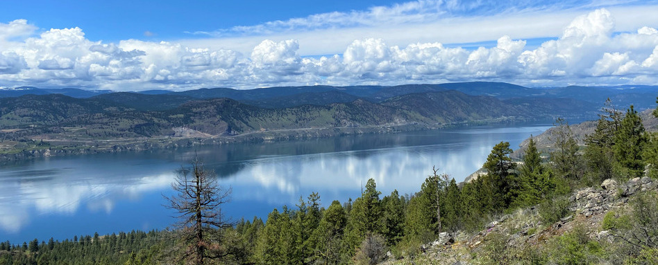 overlooking trail of mountains and forest with lake center on sunny day