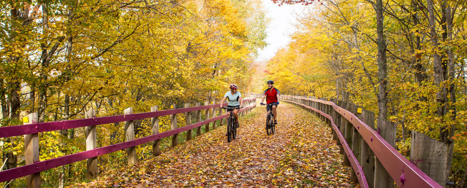 03Support image_Early registration story_credit_Tourism PEI Paul Baglole | Trans Canada Trail two people biking on a trail with fall foliage
