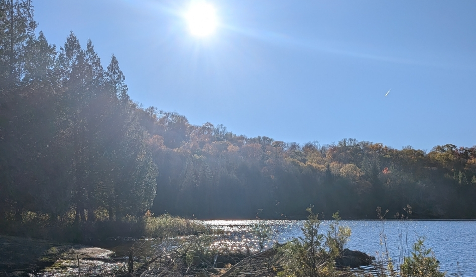03Support image_MEC Laval_credit Marc-André Aubin | Trans Canada Trail forest on sunny day at waterfront