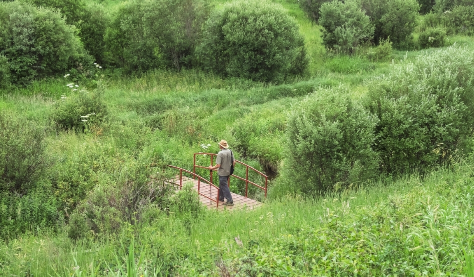 05Support image_SK_Cypress HIlls Interprovincial Park_Robin on footbridge_credit Robin and Arlene Karpan | Trans Canada Trail A man walking across a footbridge surrounded by a lush grassy park