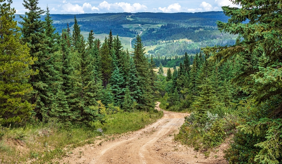 07Support image_SK_Cypress Hills Interprovincial Park_credit Robin and Arlene Karpan_Benton Hills | Trans Canada Trail A dirt trail running through a densely forested landscape