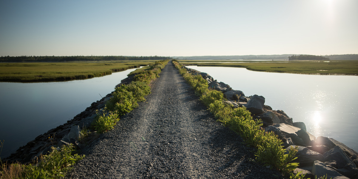 2018-NS-Salt Marsh Trail-Daniel Baylis 10_Web_StoryFeatured_Image_1200x600 2 | Trans Canada Trail long gravel trail with waterway and greenery lining
