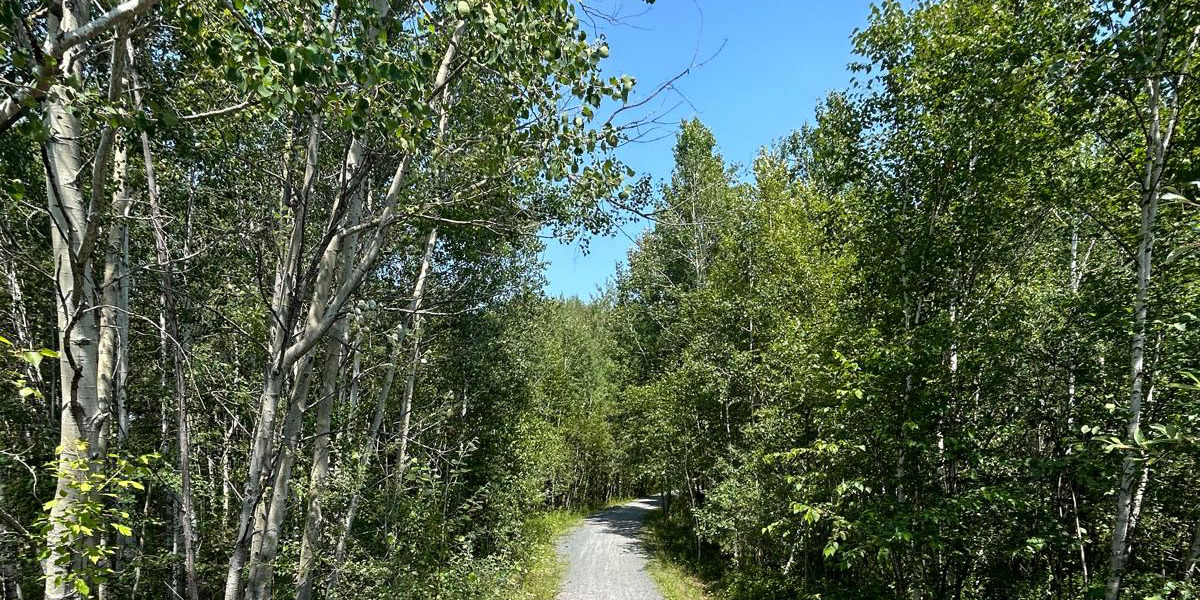 ON_City-of-Greater-Sudbury_Junction-Creek-Waterway-Park_CrowdRiff_image-5_Web_StoryFeatured_Image_1200x600 | Trans Canada Trail A gravel trail in a forested area with green trees on either side