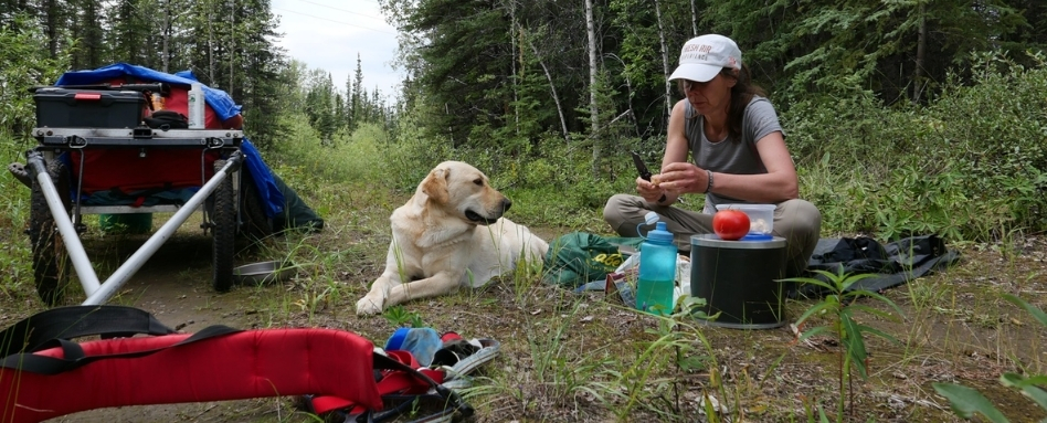 A woman sitting on the ground. Next to her is a golden lab and a wagon.