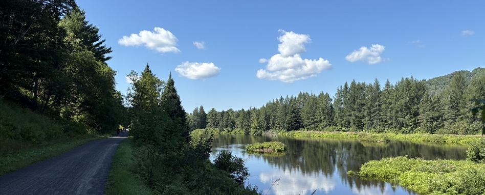 A gravel trail on the left surrounding by trees. On the right, a blue sky and a lake are shown. Clouds are reflected in the water.