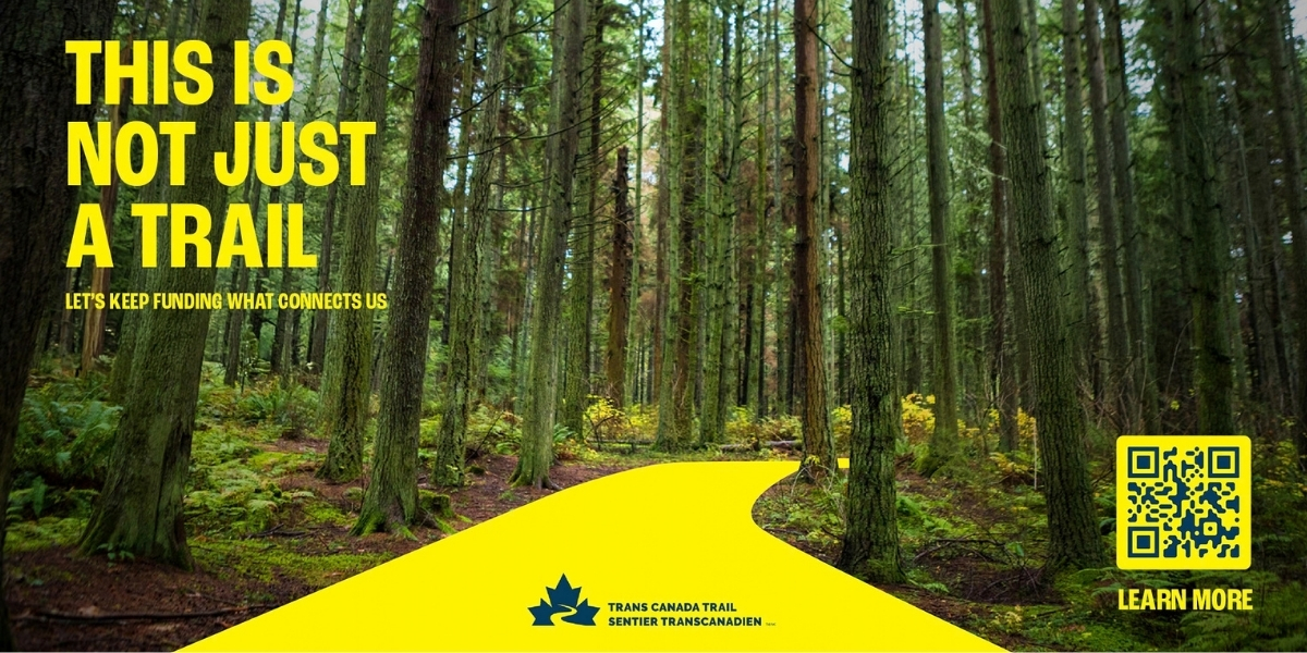 00Feature image_Accessibility and inclusion not just a trail | Trans Canada Trail Forest scene with a bright yellow curved trail graphic and bold text reading 'THIS IS NOT JUST A TRAIL' promoting the Trans Canada Trail, plus a QR code in the bottom right.