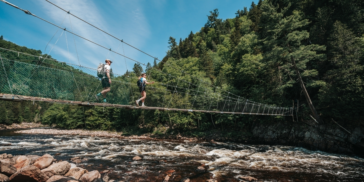 people walking on a rope bridge in forest area on a sunny day
