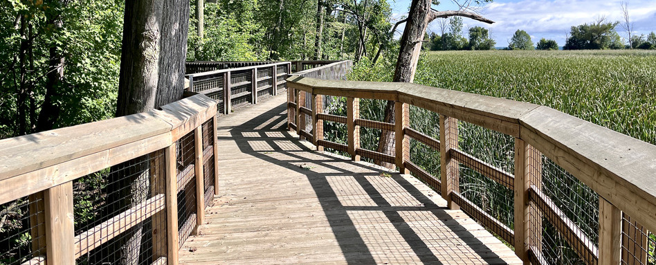 boardwalk in a grassy area waterfront