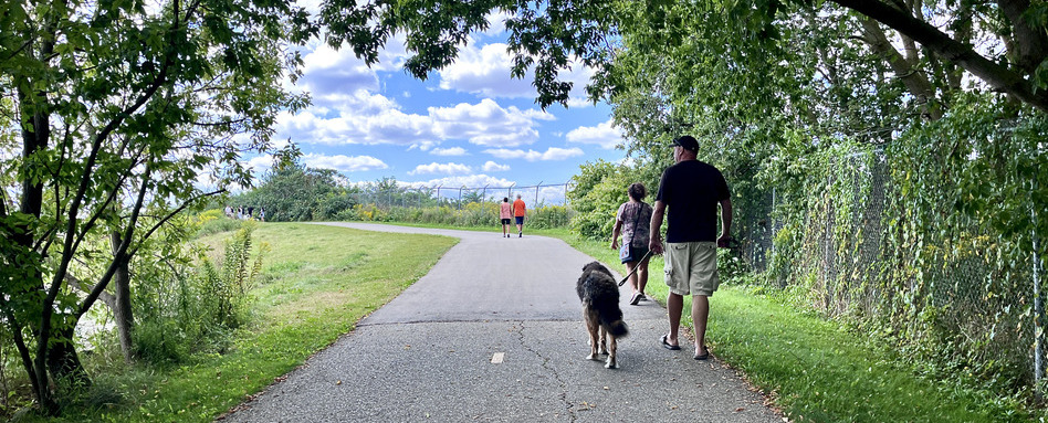 family walking in a park on a path on a sunny day