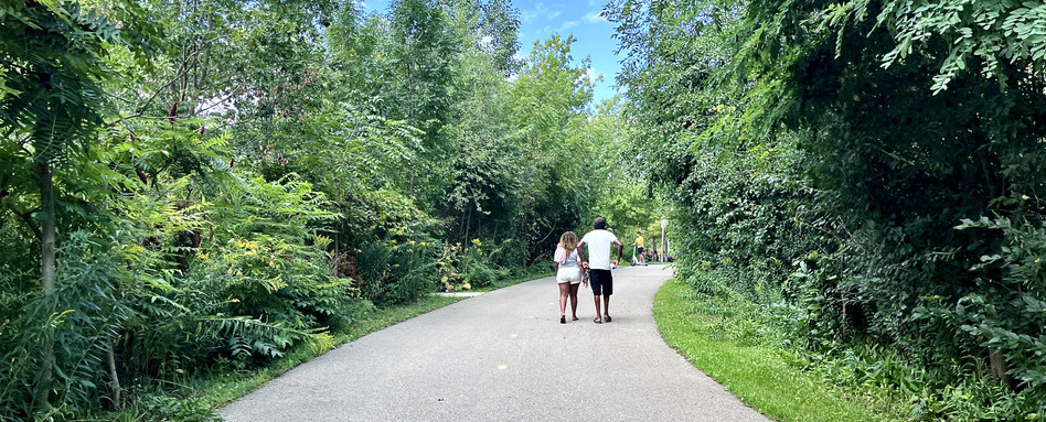 family walking on a pathway through a forest park on a sunny day