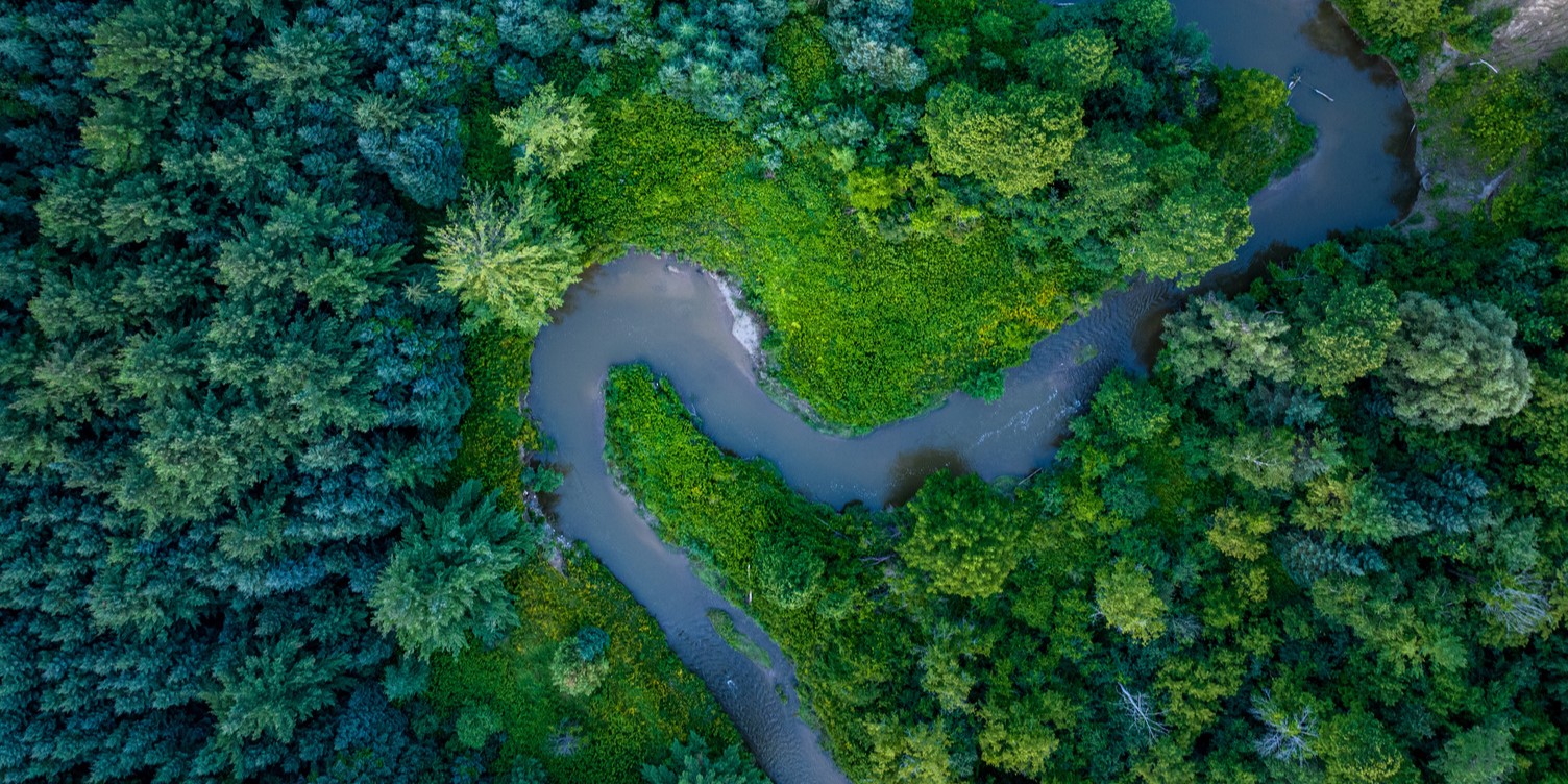 Aerial view of a winding river cutting through a dense green forest and vegetation.