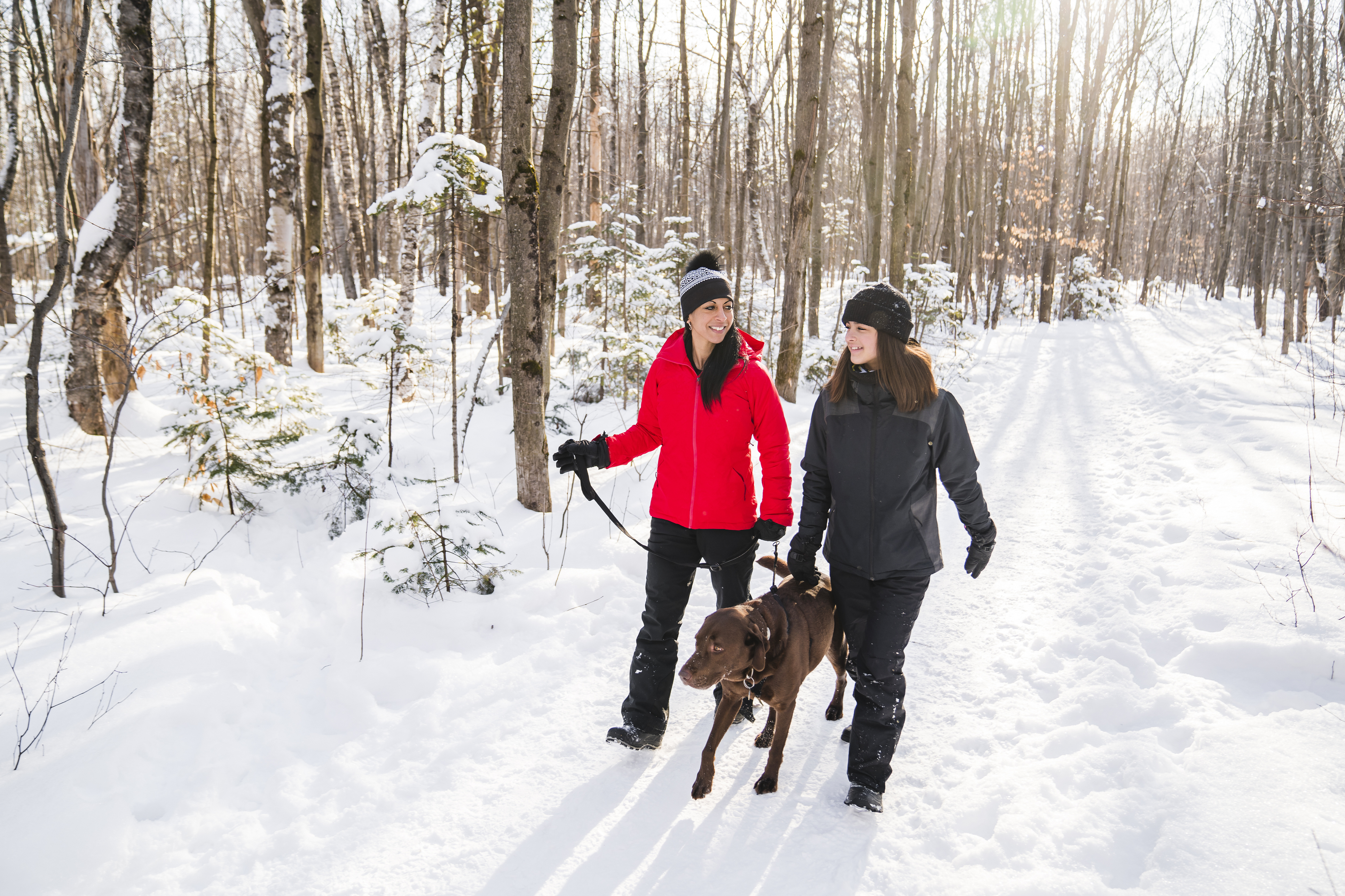 two women and a dog walkng in the snow